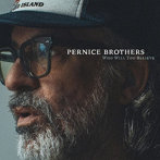 PERNICE BROTHERS/WHO WILL YOU BELIEVE