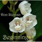 Don Slepian/Beginnings One