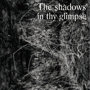 The Shadows In Thy Glimpse: Bedouin Records Selected Discography 2016-2018
