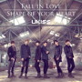 U-KISS/Fall in Love/Shape of your heart（初回生産限定盤）（DVD付）（イベント参加券A）