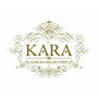 KARA/KARA ALBUM COLLECTION（5DVD付）