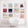 Apink/APINK SINGLE COLLECTION（初回生産限定盤）（Blu-ray Disc付）