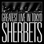 SHERBETS/SHERBETS GREATEST LIVE in TOKYO-10th Anniversary LIVE BEST ALBUM-