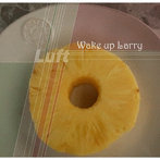 Luft/Wake up Larry