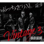 T.C.R.横浜銀蝿R.S.R./ぶっちぎりXI Vintage 3（初回限定盤）（DVD付）