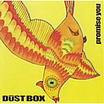 dustbox/Promise you
