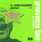 grooveman Spot a.k.a DJ KOU-G/Re:Eternal Development（Gold Star）