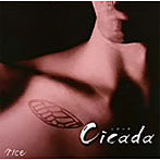 rice/Cicada