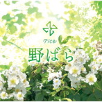rice/野ばら（初回限定盤）（DVD付）