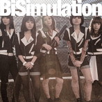 BiS/BiSimulation