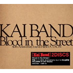 甲斐バンド/Blood in the Street/甲斐バンド 40th Anniversary tour in 日比谷野音