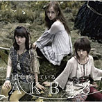 AKB48/風は吹いている（Type-A）（DVD付）