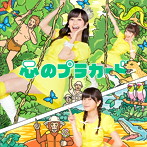 AKB48/心のプラカード（Type C）（DVD付）