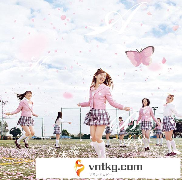 AKB48/桜の木になろう（初回限定盤）（Type-B）（DVD付）
