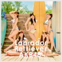 AKB48/ラブラドール・レトリバー（Type B）（初回限定盤）（DVD付）