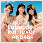 AKB48/ラブラドール・レトリバー（Type 4）（初回限定盤）（DVD付）