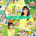 AKB48/心のプラカード（Type C）（初回限定盤）（DVD付）