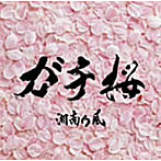 湘南乃風/ガチ桜