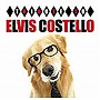 Tribute to ELVIS COSTELLO
