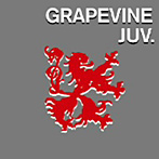 GRAPEVINE/ジュブナイル