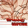 GRAPEVINE/プラチナムベスト GRAPEVINE～Chronology（UHQCD）