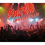 人間椅子/疾風怒濤～人間椅子ライブ！ライブ！！（DVD付）