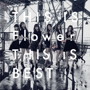 Flower/THIS IS Flower THIS IS BEST（2DVD付）