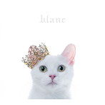 Aimer/BEST SELECTION ‘blanc’（初回生産限定盤B）（DVD付）