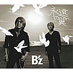 B’z/永遠の翼