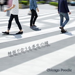 Chicago Poodle/袖振り合うも多生の縁
