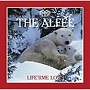 ALFEE/Lifetime Love（A）