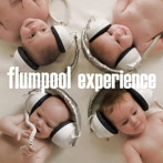 flumpool/experience（初回限定盤）（DVD付）