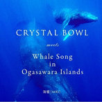 海響/CRYSTAL BOWL meets Whale Song in Ogasawara Islands