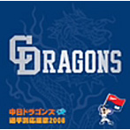 中日ドラゴンズ/中日ドラゴンズ 選手別応援歌 2008