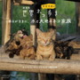 劇場版「岩合光昭の世界ネコ歩き あるがままに、水と大地のネコ家族」ORIGINAL SOUNDTRACK