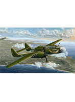 【再販】グレートウォールホビー 1/48 WWII アメリカ陸軍航空隊 P-61A ブラックウィドウ グラスノーズ