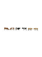 32812 ザ・動物109 牧場の牛