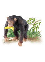 アニア AS-14 チンパンジー
