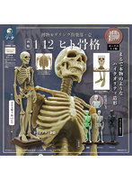 【再販】【BOX販売】博物モデリング倶楽部・壱 1/12 ヒト骨格 （全4種） 1BOX:4個入