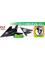 AE144-15SP 1/144 アメリカ空軍 ステルス戦闘機 F-117ナイトホーク スカンクワークス 刺繍ワッペン付属