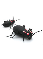 赤外線で動く昆虫 巨大アリ