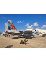 AC-87 1/72 航空自衛隊 F-15J イーグル 那覇基地 美ら島エアーフェスタ2023 記念塗装機