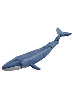 アニア AL-23 シロナガスクジラ（水に浮くVer.）
