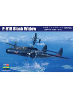 1/48 エアクラフト シリーズ P-61B ブラックウィドウ
