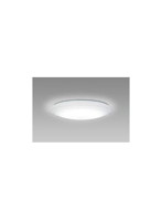 NEC LEDシーリングライト（～12畳） 調光・調色 HLDCD12100SG