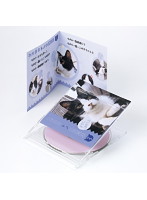 サンワサプライ インクジェットCD・DVDケースカード（見開き・つやなしマット） JP-IND2N