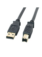 サンワサプライ USB2.0ケーブル 0.6m ブラック KU20-06BKHK2