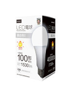 HIDISC LED電球（一般電球100形相当） 昼白色 HDLED100W5000K