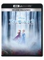 アナと雪の女王2 （4K ULTRA HD＋ブルーレイ＋デジタルコピー（クラウド対応）＋MovieNEXワールド）
