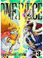 ONE PIECE ワンピース 18THシーズン ゾウ編 piece.3